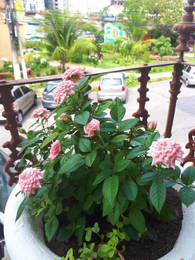 Casa Da Josi - Pajucara Lägenhet Maceió Exteriör bild